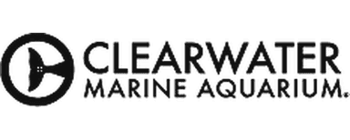 Clearwater Marine Aquarium